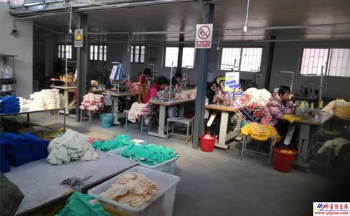 升阳服装针织厂常年承接针织订单